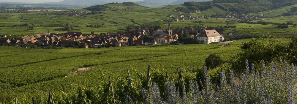 3986 STHIPPOLYTE COPYRIGHTCONSEILVINSALSACE 1000X350 | Vins Koeberlé Bléger À propos du Domaine Marc Koeberlé Bléger Saint-Hippolyte 3
