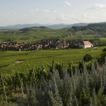 Vins Koeberl&eacute; Bl&eacute;ger Orschwiller 3